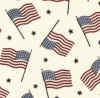 fabrics-flags on white.jpg (163788 bytes)