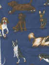 roller skating dogs 1.jpg (202277 bytes)
