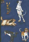 roller skating dogs 2.jpg (191926 bytes)